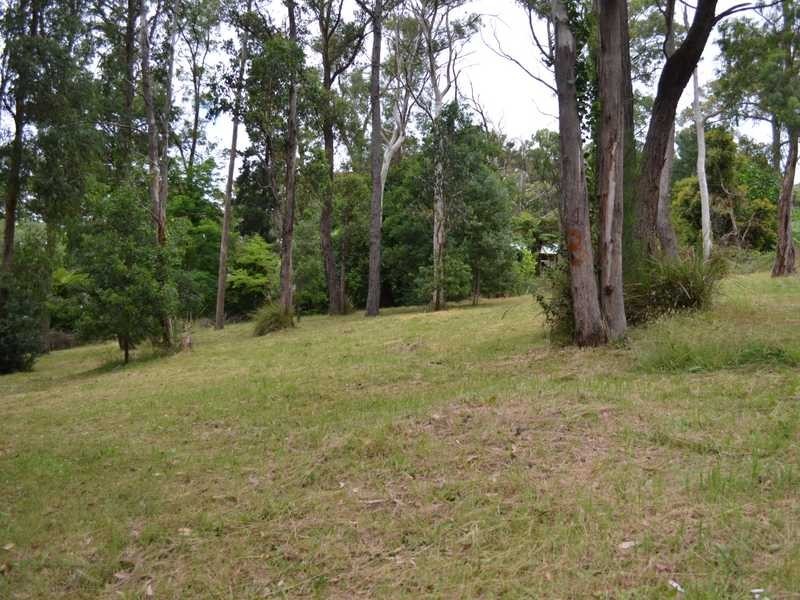 16 Haylock Avenue, Cockatoo VIC 3781