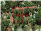 16 Haylock Avenue, Cockatoo VIC 3781