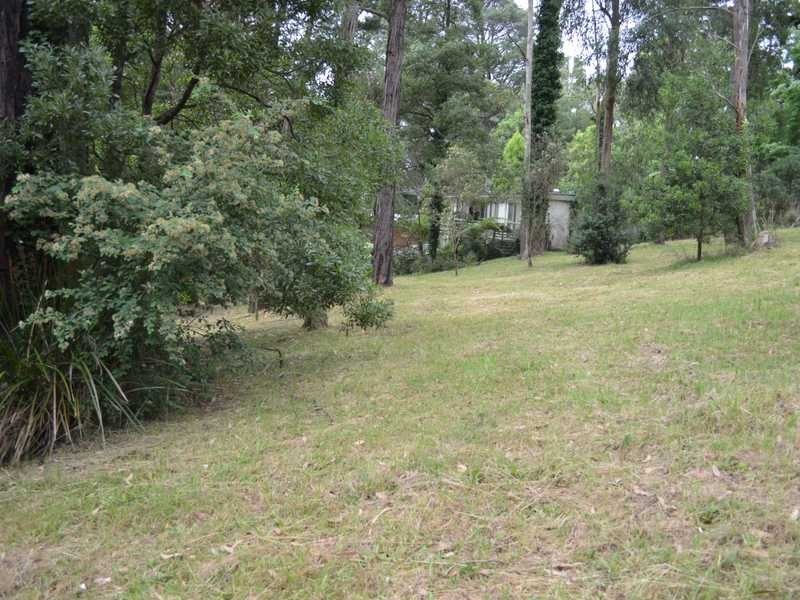 16 Haylock Avenue, Cockatoo VIC 3781