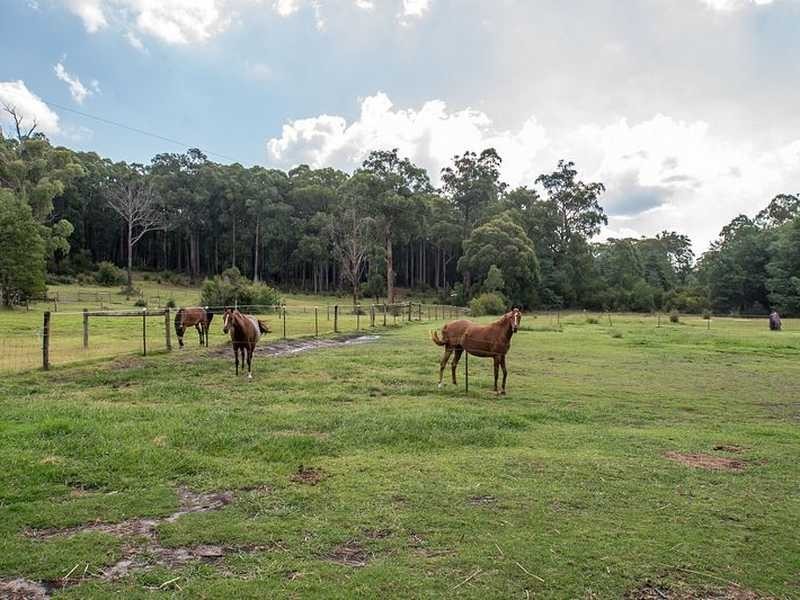 150 Soldiers Road, Gembrook VIC 3783