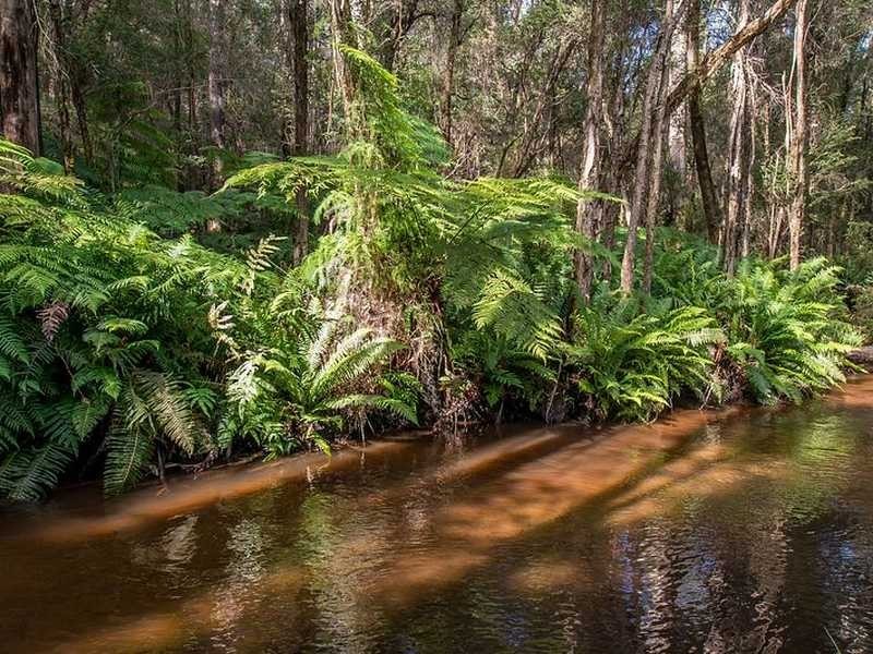 150 Soldiers Road, Gembrook VIC 3783