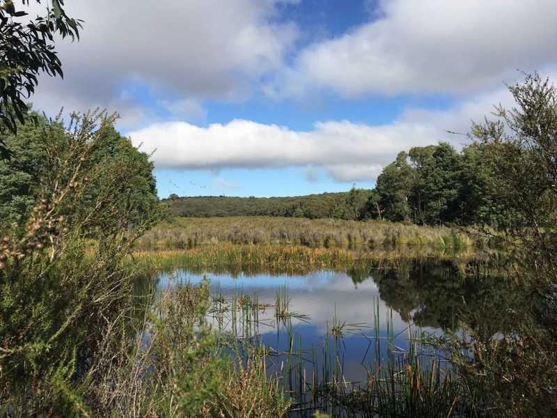 600 Gembrook-Tonimbuk Road, Gembrook VIC 3783