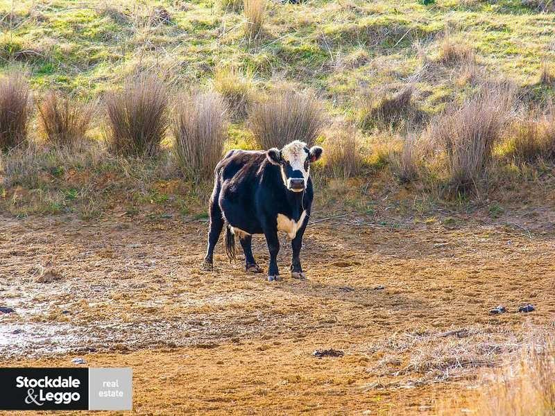 674 Macclesfield Road, Macclesfield VIC 3782