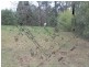 33 Kings Road, Emerald VIC 3782