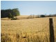 1475 Pakenham Road, Cockatoo VIC 3781