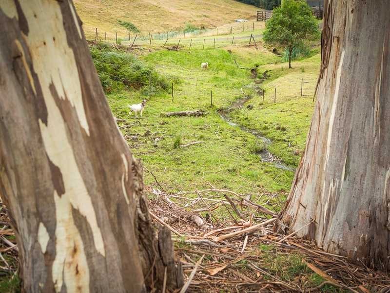 1475 Pakenham Road, Cockatoo VIC 3781