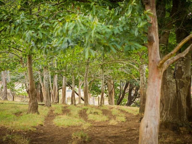 1475 Pakenham Road, Cockatoo VIC 3781