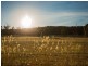 1475 Pakenham Road, Cockatoo VIC 3781