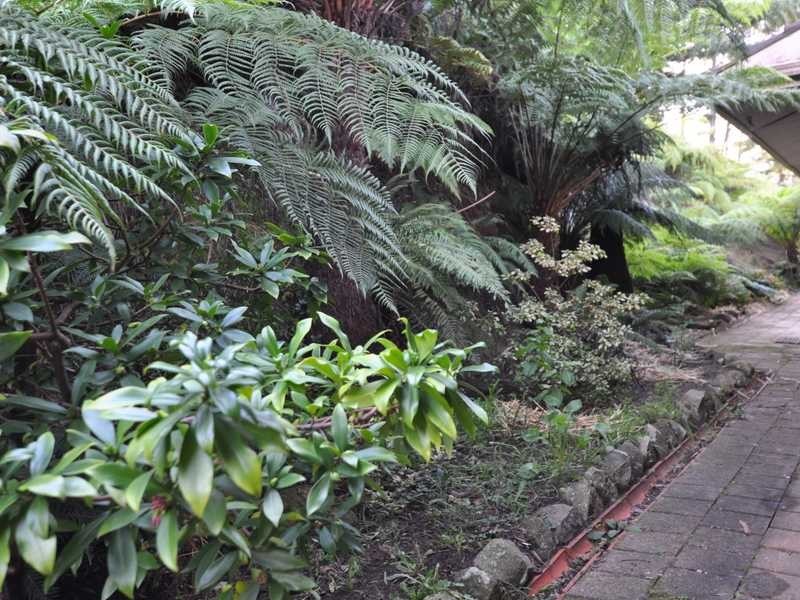 35 Mccarthy Road, Monbulk VIC 3793