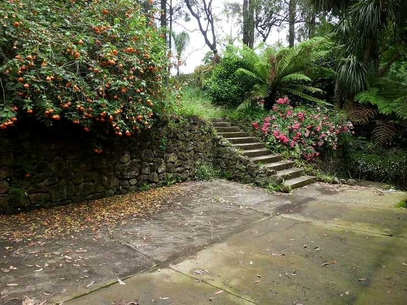 21 Alexander Avenue, Cockatoo VIC 3781