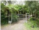 21 Alexander Avenue, Cockatoo VIC 3781