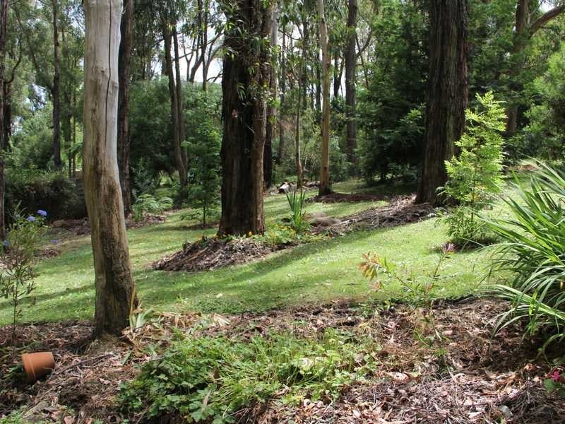 11 Sunnyside Terrace, Emerald VIC 3782