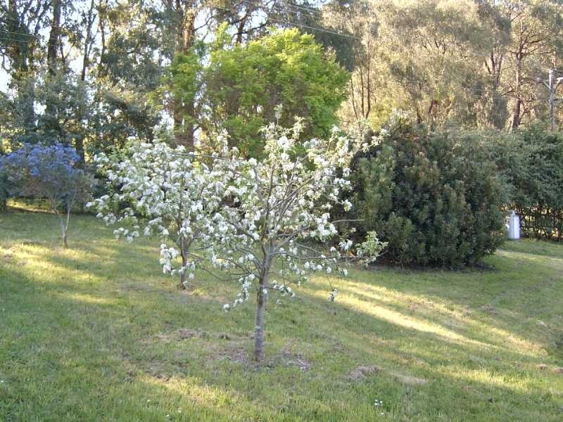 36 Beveridge Road, Silvan VIC 3795