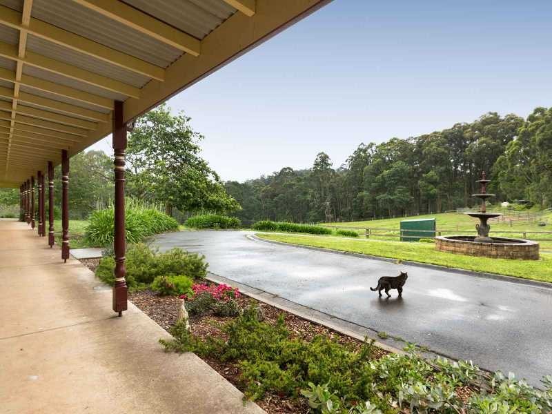 695 Beenak East Road, Gembrook VIC 3783