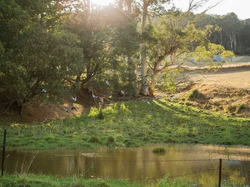 1475 Pakenham Road, Cockatoo VIC 3781