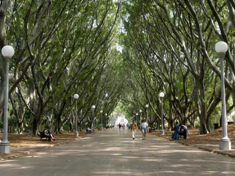 704/157 Liverpool Street, Sydney NSW 2000