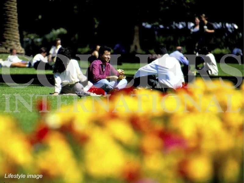 Apt 1703/157 Liverpool Street, Sydney NSW 2000