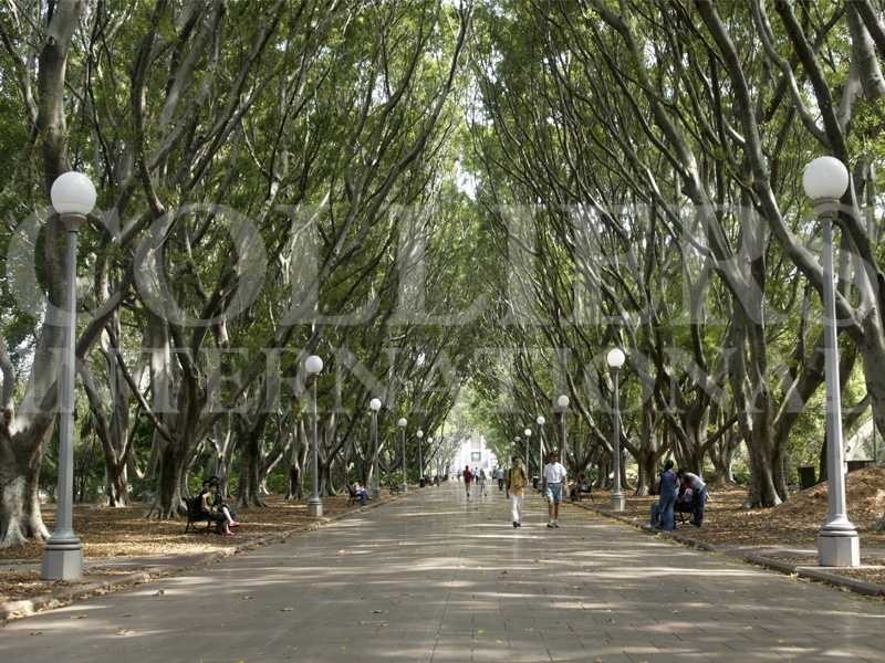 Apt 1205/157 Liverpool Street, Sydney NSW 2000