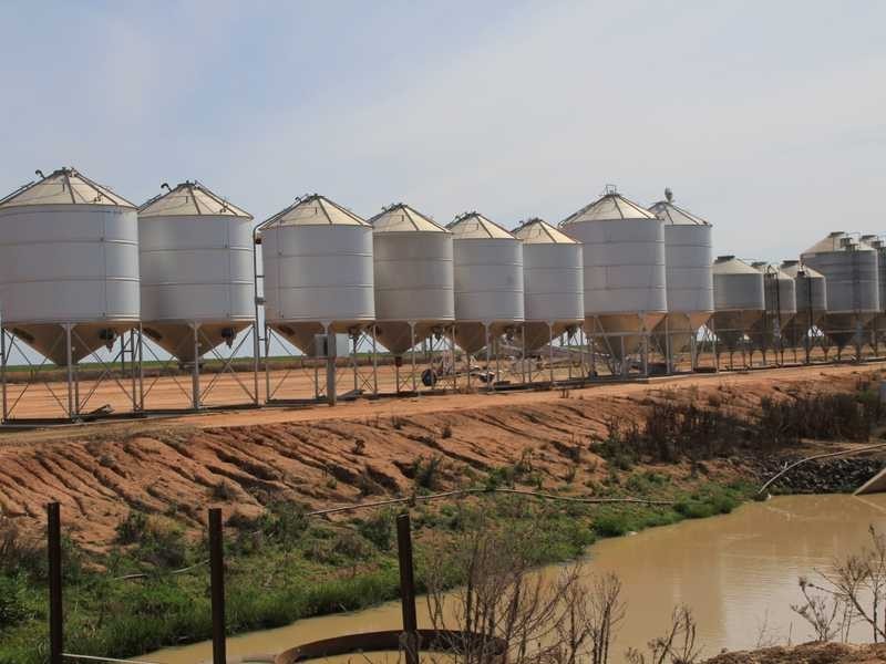 1 Murrumbidgee River Road, Carrathool NSW 2711