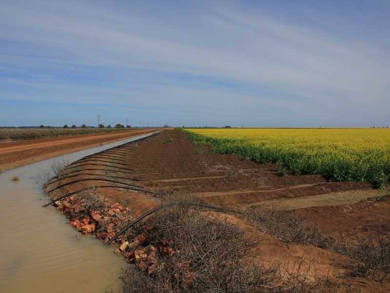 1 Murrumbidgee River Road, Carrathool NSW 2711