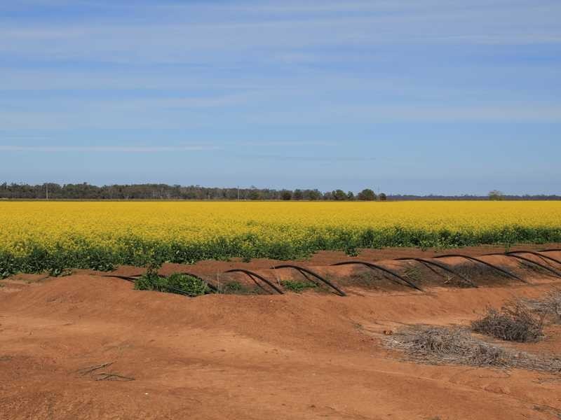 1 Murrumbidgee River Road, Carrathool NSW 2711