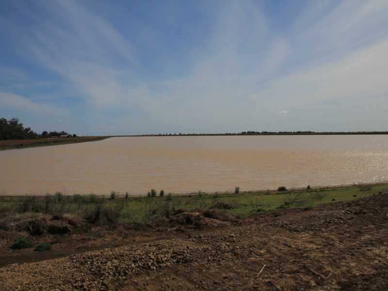 1 Murrumbidgee River Road, Carrathool NSW 2711