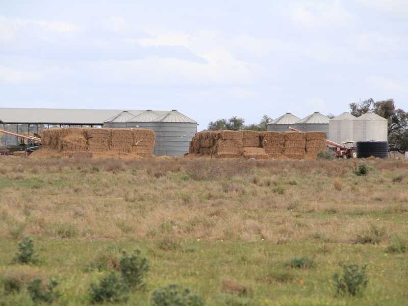 1 Murrumbidgee River Road, Carrathool NSW 2711