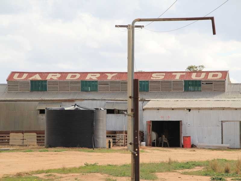 1 Murrumbidgee River Road, Carrathool NSW 2711