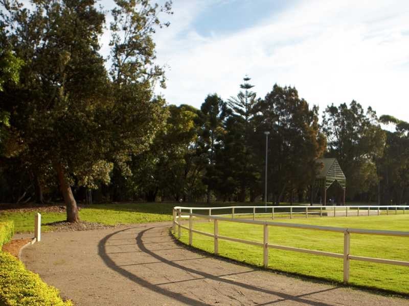 33 Wilson Street, Botany NSW 2019