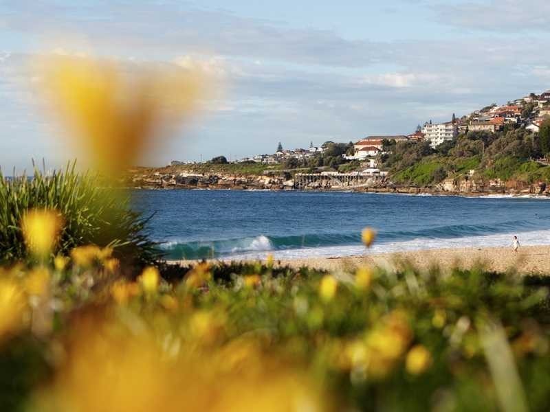 33 Wilson Street, Botany NSW 2019