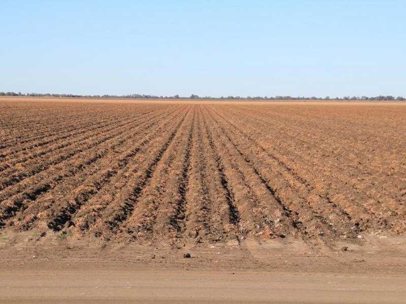 Carnarvon Highway, Garah NSW 2405