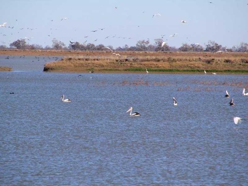 Carnarvon Highway, Garah NSW 2405