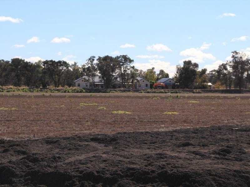 Carnarvon Highway, Garah NSW 2405