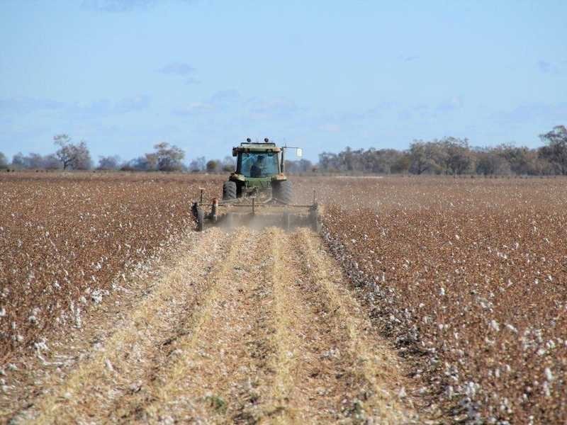 Carnarvon Highway, Garah NSW 2405