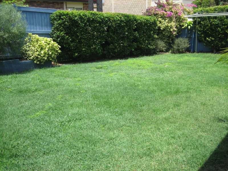 11 Santa Cruz Pl, Forest Lake QLD 4078