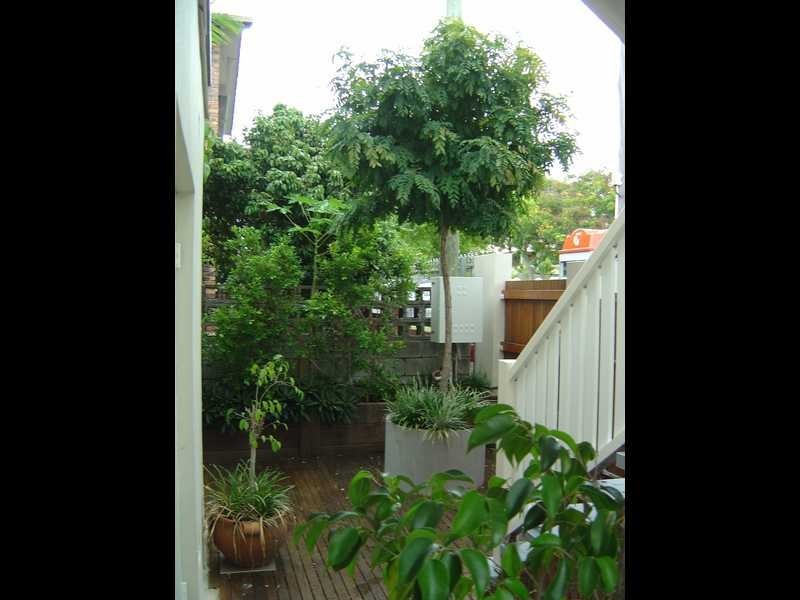 49 Villiers Street, New Farm QLD 4005