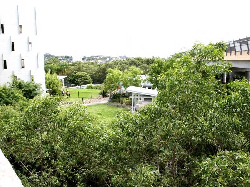 Unit 3404/141 Campbell Street, Bowen Hills QLD 4006