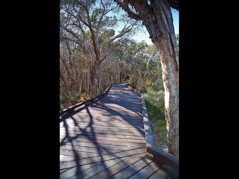 55/42 Boardwalk Boulevard, Mount Coolum QLD 4573