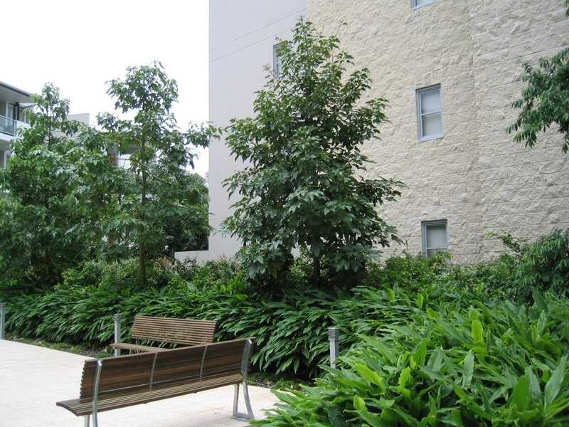 Apartment 243/71 Beeston Street, Teneriffe QLD 4005