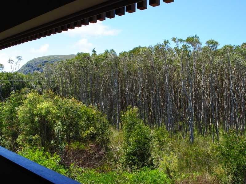 61/42 Boardwalk Boulevard, Mount Coolum QLD 4573