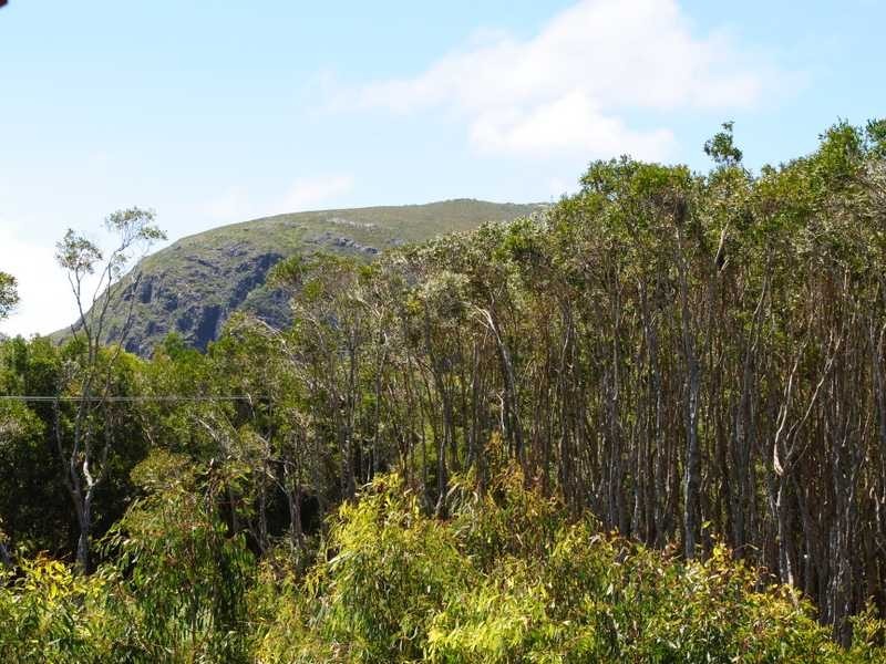 61/42 Boardwalk Boulevard, Mount Coolum QLD 4573