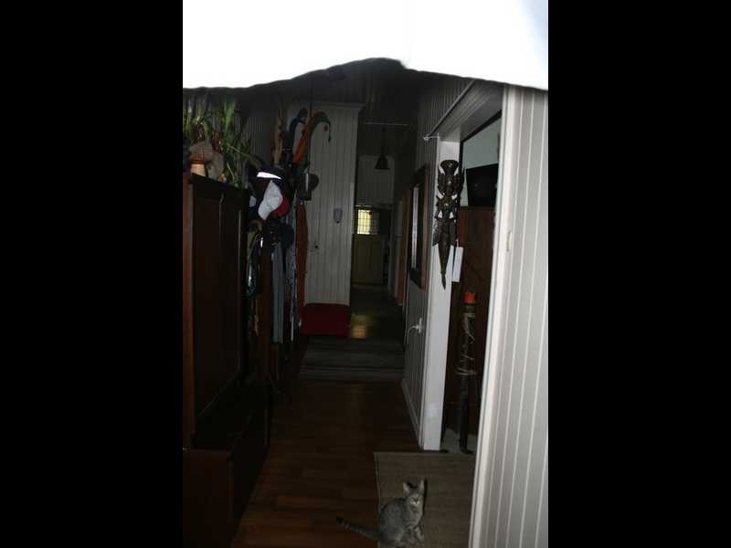 5 Cintra Road, Bowen Hills QLD 4006