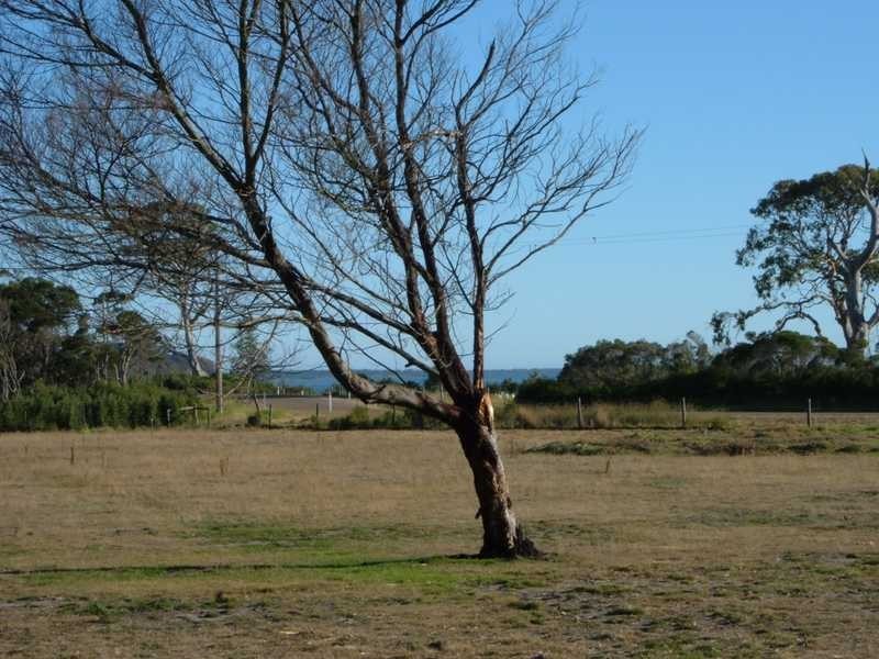 315 Reynolds Road, Metung VIC 3904