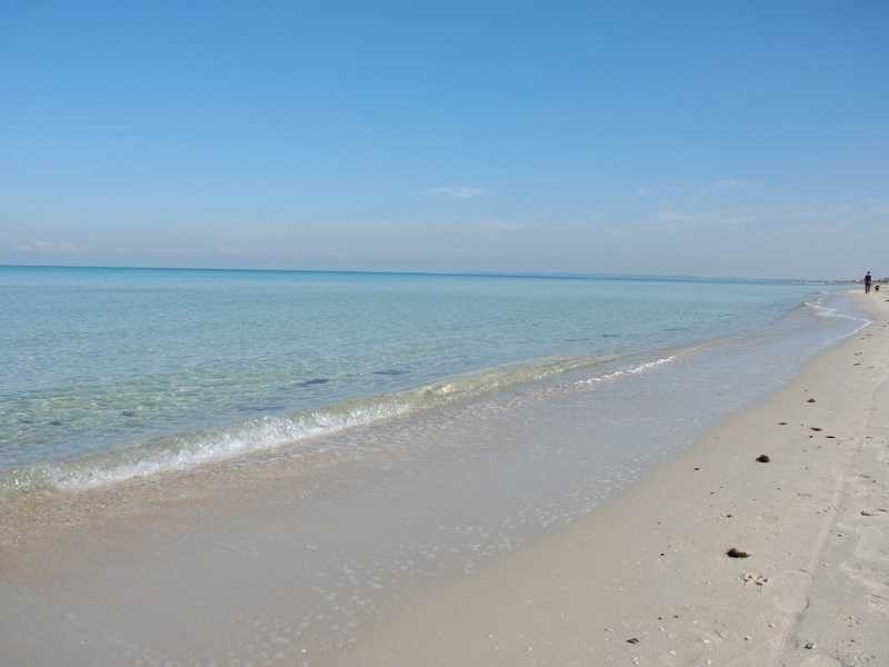 2/62 Field Avenue, Edithvale VIC 3196