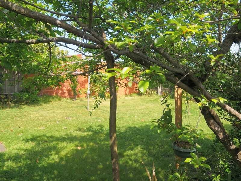 33 Fairview Avenue, Cheltenham VIC 3192