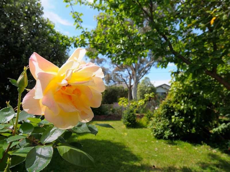 33 Fairview Avenue, Cheltenham VIC 3192