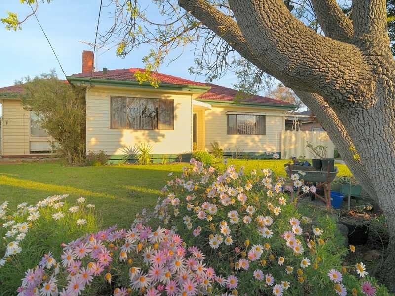 50 Woodbine Grove, Chelsea VIC 3196