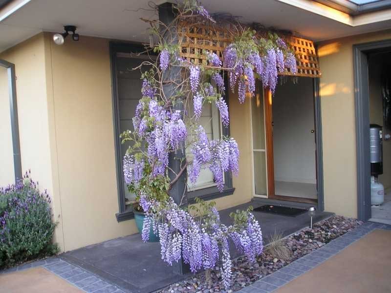 3/30 Tarella Road, Chelsea VIC 3196