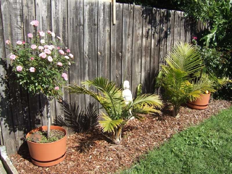 8/13-17 Fowler Street, Chelsea VIC 3196