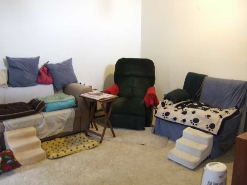 20 Chelbara Court, Chelsea VIC 3196